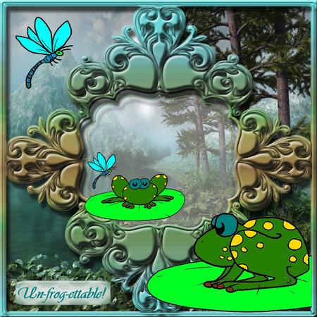 Little Frogs Featured Gallery Photo