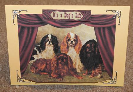 Stage Curtain Toppers by Christine Dixon