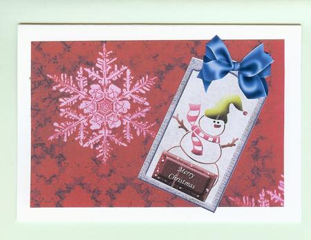 Christmas Poinsettia Backing Paper by Christine Dixon