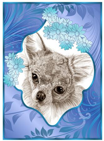 Chihuahua Face by Christine Dixon