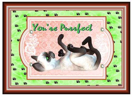 Cu 8 Damask & Pearl Mats by Christine Dixon
