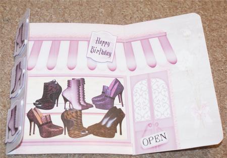 Fabulous Footwear - the Paris Collection by Christine Dixon
