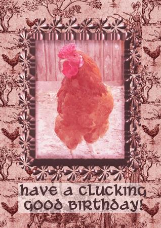 Cock Watercolour Background by Christine Dixon