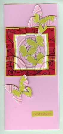 Corner and Butterfly Stacker Lime and Raspberry. by Christine Dixon