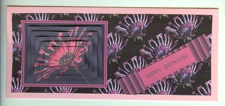 Osteo Daisy Backing Paper by Christine Dixon
