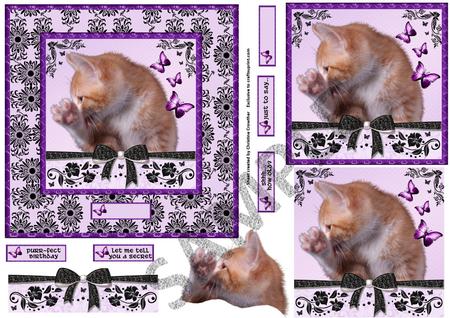 A4 Background Overlays by Christine Dixon