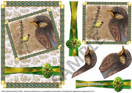 3 Americal Golden Finch Backgrounds by Christine Dixon