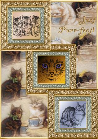 Cat Theme by Christine Dixon