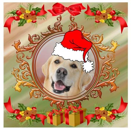 Cu Mats & Frames by Christine Dixon