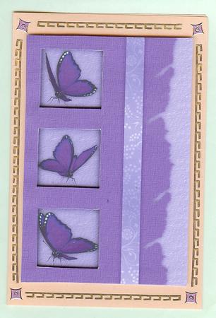 Purple/blue Butterfly Easy 3D Look Card by Christine Dixon