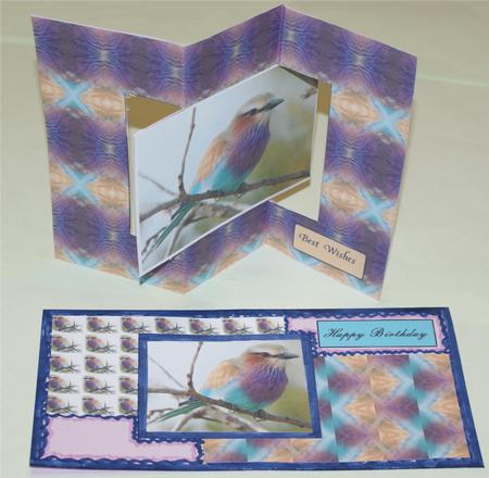 Beautiful Lilac Roller Bird Kit by Christine Dixon