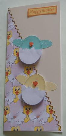 Little Chick by Christine Dixon