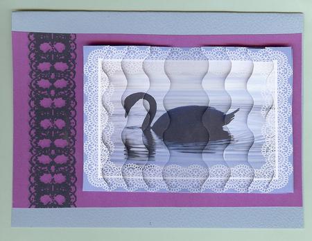 Evening Swan by Christine Dixon