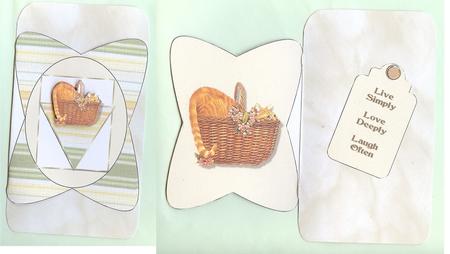 Cute Cat in Basket by Christine Dixon