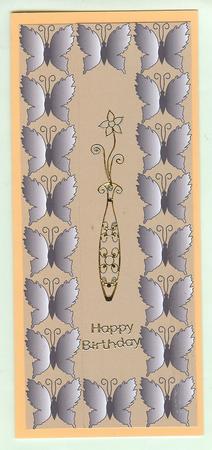 Butterfly Border 1 by Christine Dixon