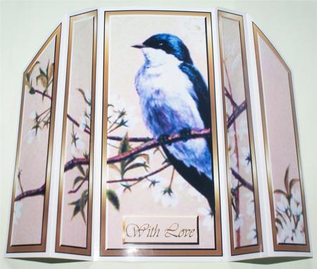 Bird Theater Fold by Christine Dixon