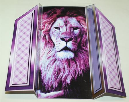Lion by Christine Dixon