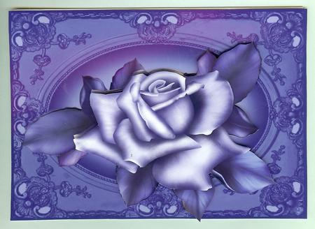 Winter Rose Frame by Christine Dixon
