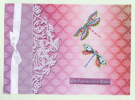 Rainbow Lace Background #3 by Christine Dixon