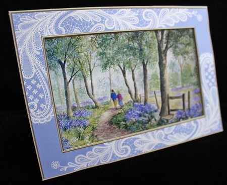 A Walk In Bluebell Woods  by Cindie Deasey