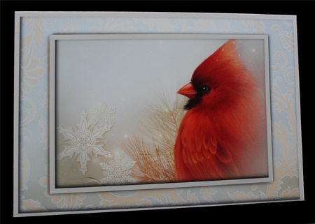 Christmas Cardinal and Snowflakes A4 Featured Gallery Photo