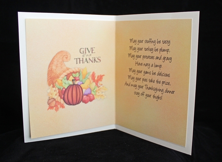 718 Thanksgiving Turkey Kit  by Cindie Deasey