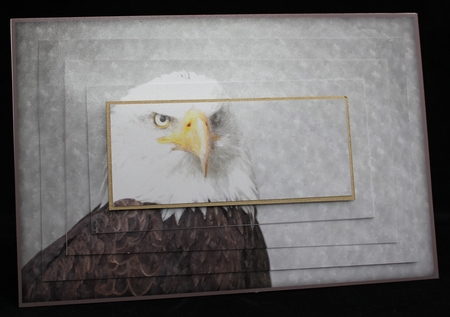 American Eagle Watercolour Pyramid Topper by Cindie Deasey