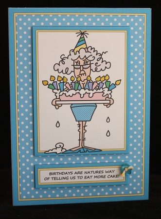 Stella - Birthdays Are Natures Way (Blue/Yellow) by Cindie Deasey