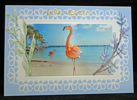 Flamingo by Cindie Deasey