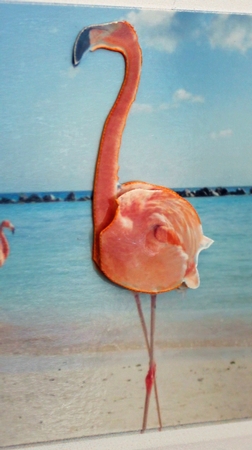 Flamingo by Cindie Deasey