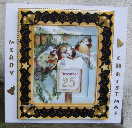 Vintage Christmas Birds Spiral Edge (black) by Cindy Thompson