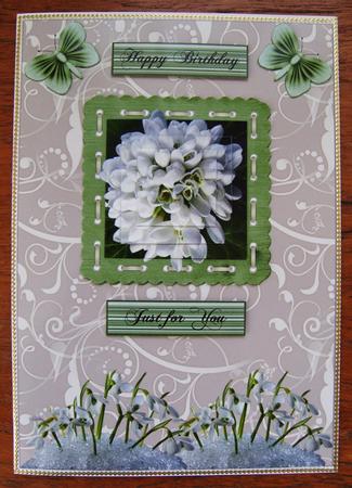 Snowdrops by Cindy Thompson