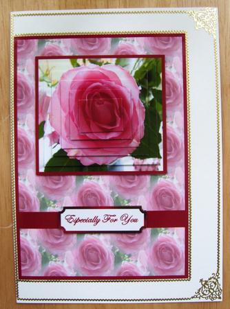My Pink Rose by Cindy Thompson