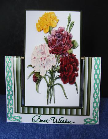 Stunning Carnations Spinner Card by Cindy Thompson