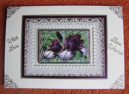 Iris and Pearls Just for You by Cindy Thompson
