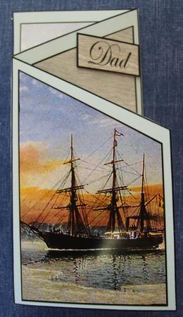 Arctic Ship by Cindy Thompson