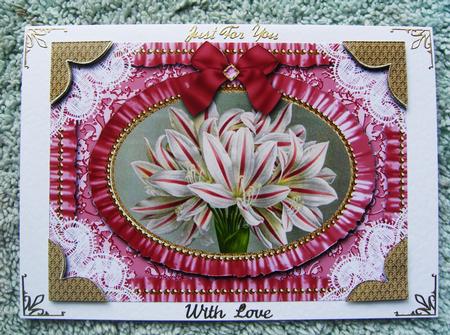 Amarylis Lace N Ruffles A4 Picture Sheet by Cindy Thompson