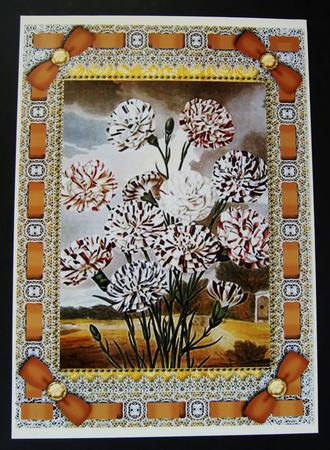 Black Carnations Lace Eyelet A4 Picture Sheet by Cindy Thompson