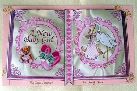 Baby Girl with Stork Bootees and Bear Open Book A4 by Cindy Thompson