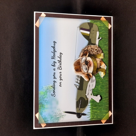 Hedgehog Pilot Photograph Card Front by Claire Dyas