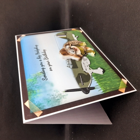 Hedgehog Pilot Photograph Card Front by Claire Dyas