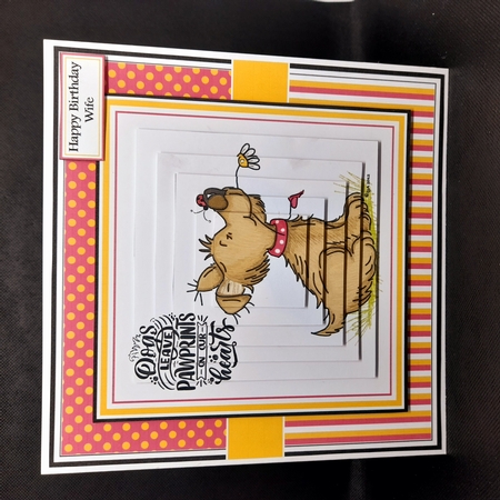 8x8 Bellas Flower Mini Kit - x5 A5 Sheets  by Claire Dyas