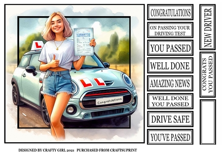New Driver 2 by Claire Dyas