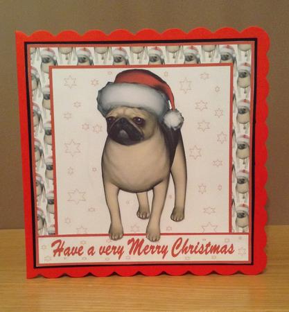 Xmas Pug with White Pug Border by Claire Dyas