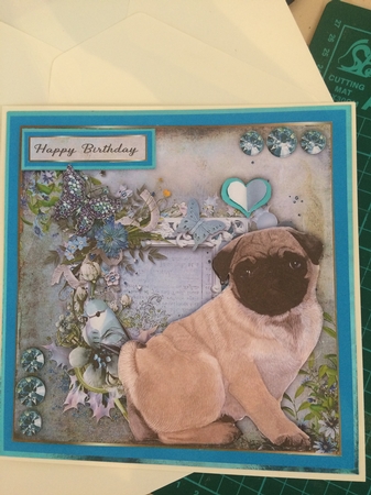 8x8 Teal Garden Pup Pug by CLAIRE JENKINS