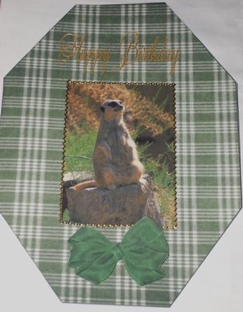 Meerkat Octagon Card by Claire Watts