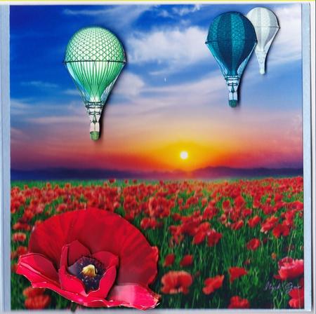 Poppy Field Red & Hot Air Balloons Steampunk + Decoupage by Claire James