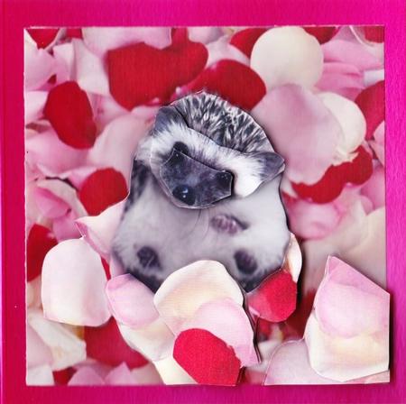 Meet Jed the Cute Baby Hedgehog 3 + Decoupage & Tag by Claire James