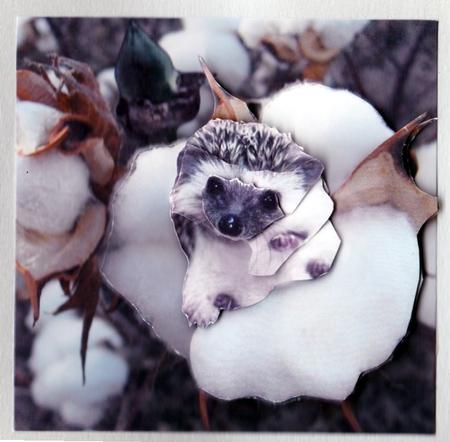 Meet Jed the Cute Baby Hedgehog 2 + Decoupage & Tag by Claire James