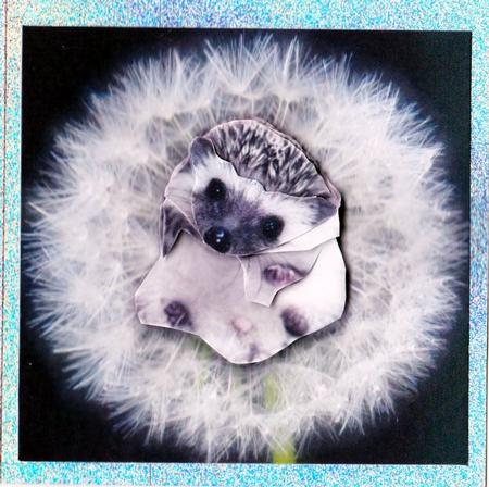 Meet Jed the Cute Baby Hedgehog + Decoupage & Tag by Claire James